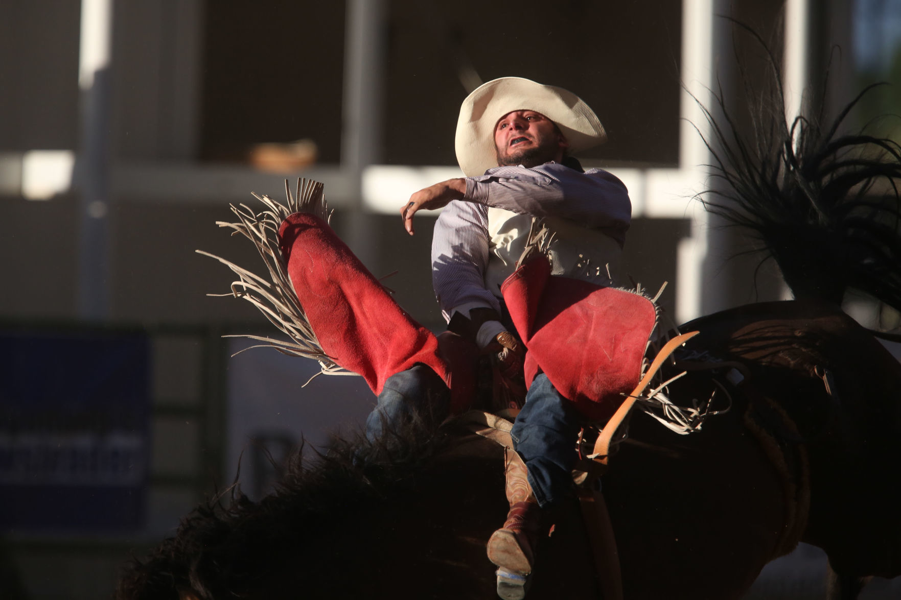 PRCA: Friday